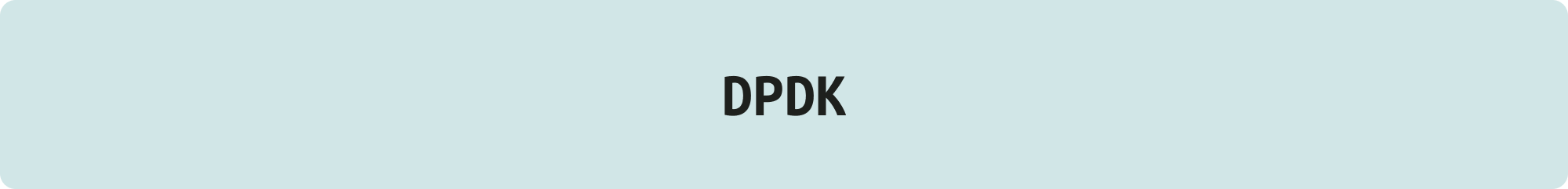 DPDK